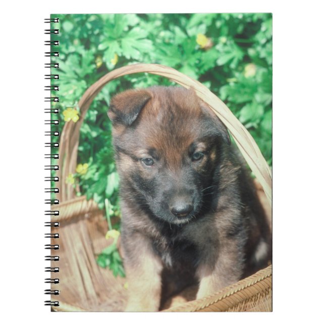 Belgian Malinois Puppy Notebook (Front)