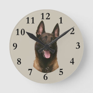 belgian malinois round clock