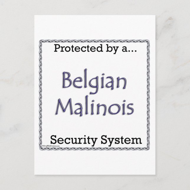 Belgian Malinois Security System Postcard (Front)