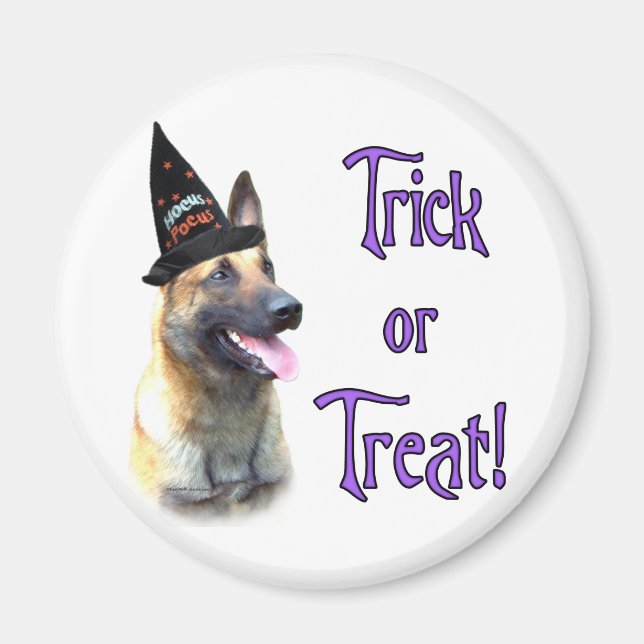 Belgian Malinois Trick Magnet (Front)