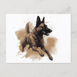 Belgian Malinois Water sport Postcard