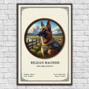 Belgian Malinois Zoology Series Poster