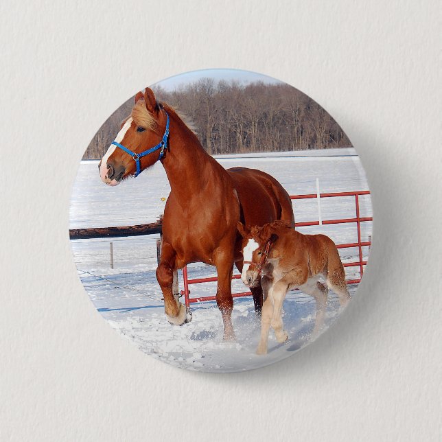 Belgian Mare and Filly 6 Cm Round Badge (Front)