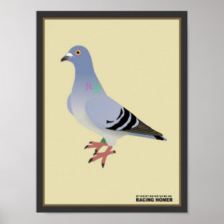 Belgian Racing Homer Print