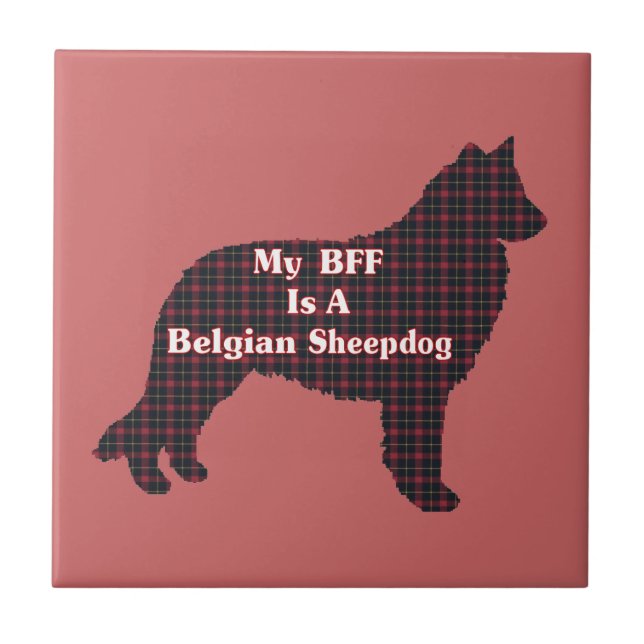 Belgian Sheepdog BFF Tile (Front)