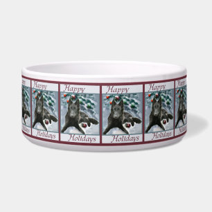 Belgian Sheepdog Christmas