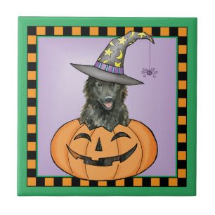 Belgian Sheepdog Halloween Tile