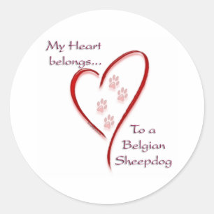 Belgian Sheepdog Heart Belongs Classic Round Sticker