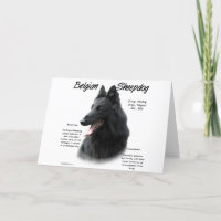 Belgian Sheepdog History; All About Sheepdogs