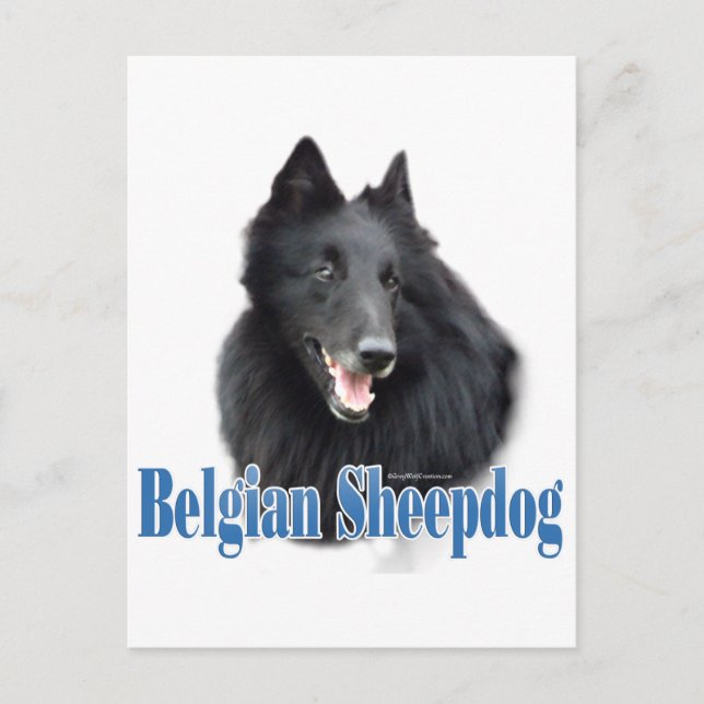 Belgian Sheepdog Name Postcard (Front)