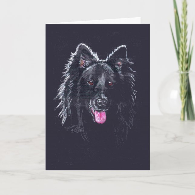 Belgian Sheepdog on Black Card (Front)