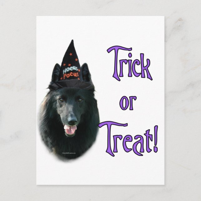 Belgian Sheepdog Trick Postcard (Front)