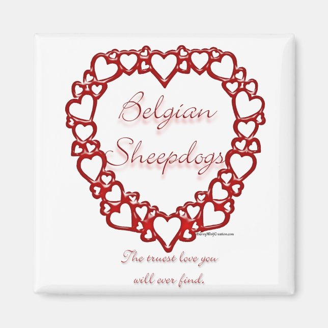 Belgian Sheepdog True Love Magnet (Front)