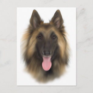 Belgian Sheperd Tervueren Postcard