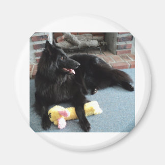 Belgian Shepherd by the Fireplace Magnet