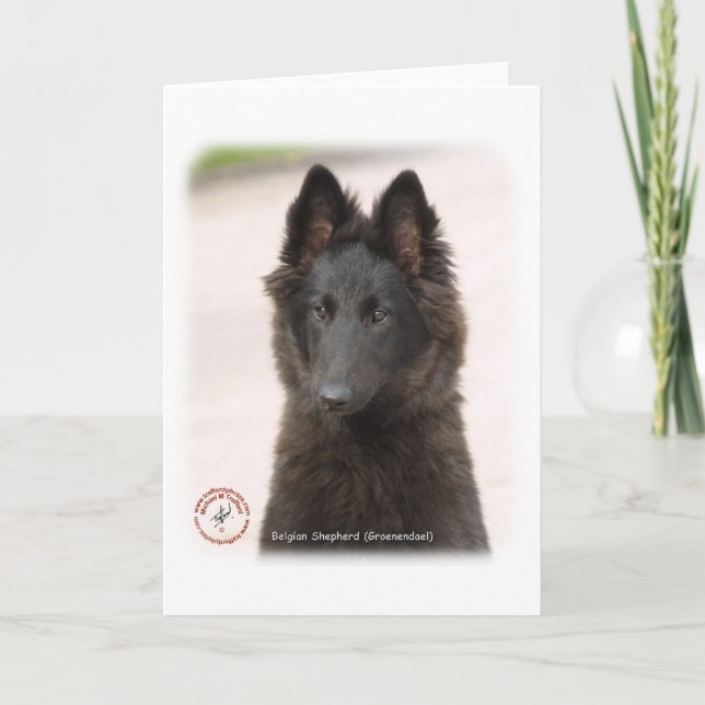 Belgian Shepherd Dog 9R096D-022 Card (Front)