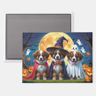 Belgian Shepherd Dogs Pumpkin Halloween Funny Magnet