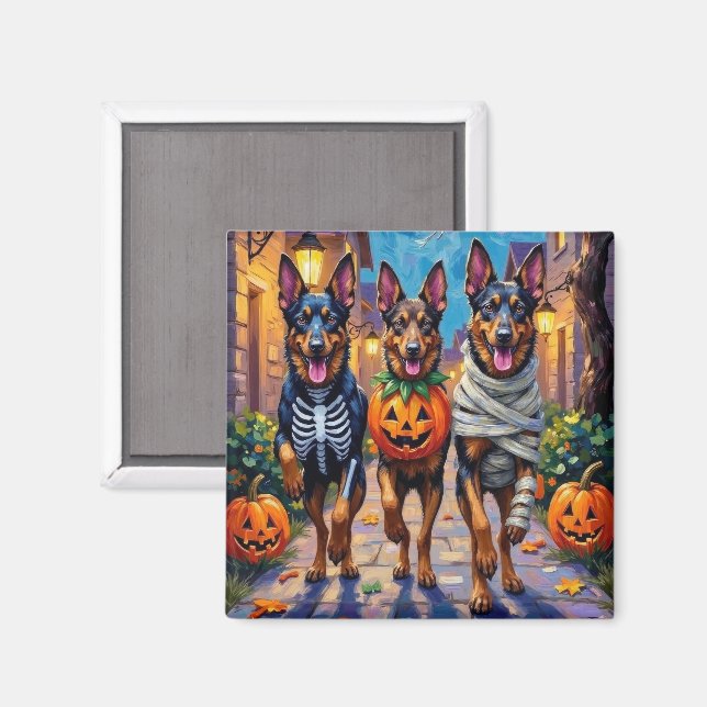 Belgian Shepherd Dogs Trick-or-Treating Halloween Magnet (Front/Back)