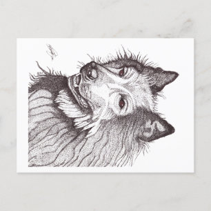 BELGIAN SHEPHERD GROENENDAEL POSTCARD