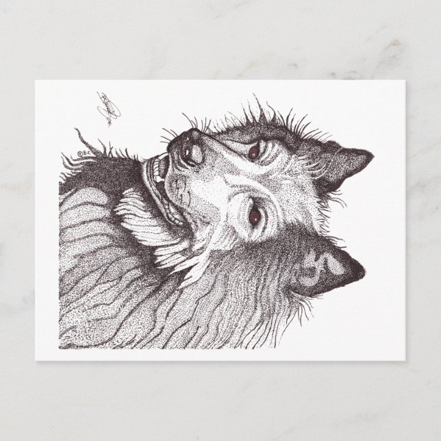 BELGIAN SHEPHERD GROENENDAEL POSTCARD (Front)