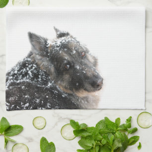 Belgian Shepherd in Snow Tea Towel