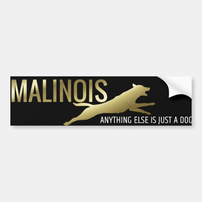 Belgian shepherd - Malinois Bumper Sticker (Front)