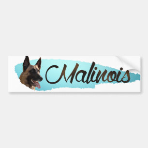 Belgian shepherd - Malinois Bumper Sticker