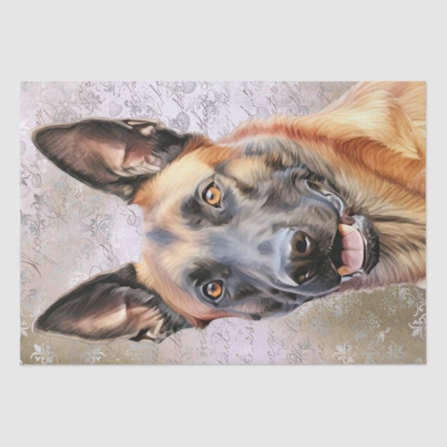 Belgian Shepherd Malinois Dog Tissue Paper (Front)