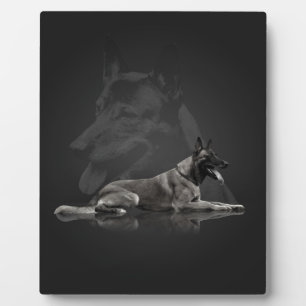 Belgian shepherd - Malinois Plaque