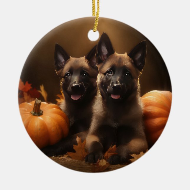 Belgian Shepherd Puppy Autumn Delight Pumpkin Ceramic Tree Decoration (Front)