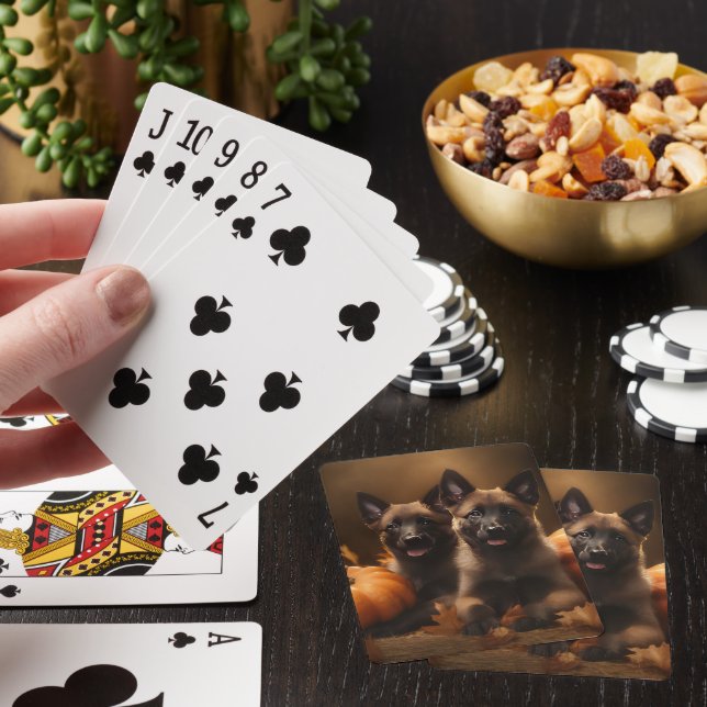 Belgian Shepherd Puppy Autumn Delight Pumpkin Playing Cards (In Situ)