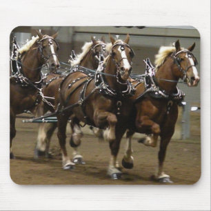 Belgian team in harness mousepad