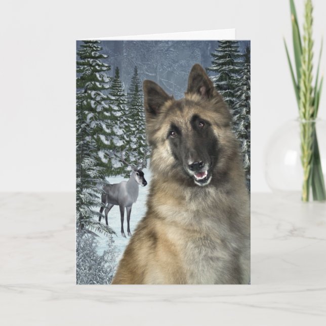 Belgian Tervuren Christmas Card (Front)