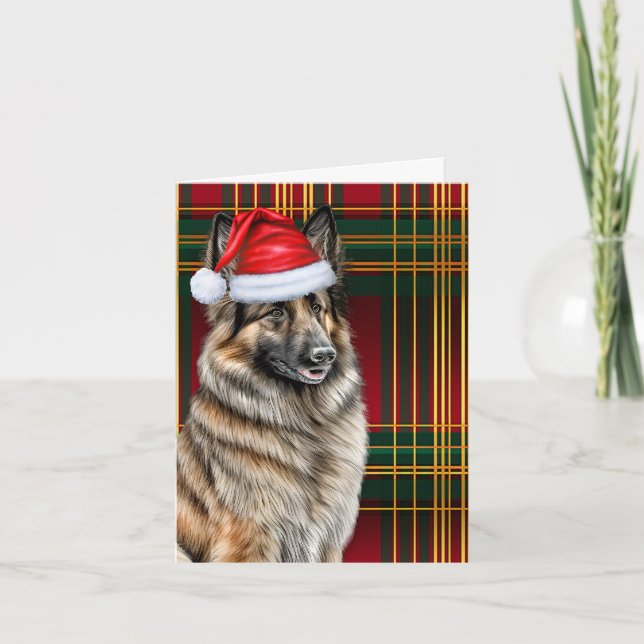 Belgian Tervuren Christmas Dog Holiday Plaid (Front)