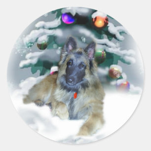 Belgian Tervuren Christmas Gifts Classic Round Sticker