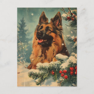 Belgian Tervuren Christmas Postcard