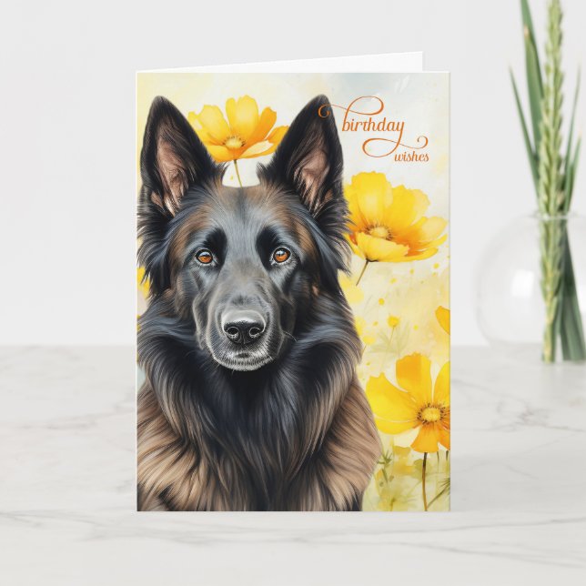 Belgian Tervuren Dog and Golden Poppies Birthday Card (Front)
