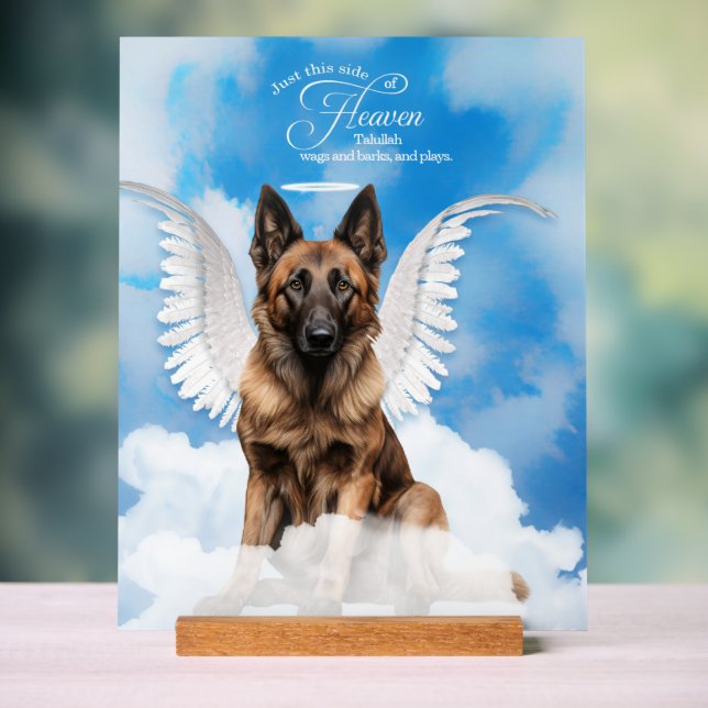 Belgian Tervuren Dog Angel with Name Pet Memorial Acrylic Sign (Neutral)