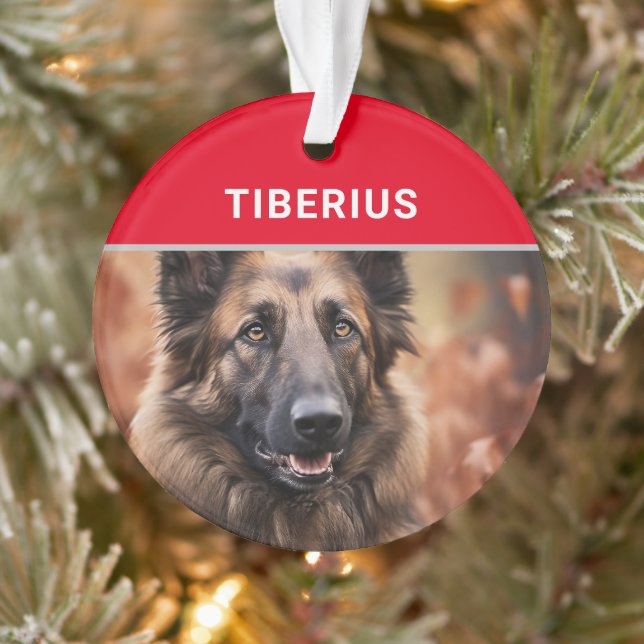 Belgian Tervuren Dog's Name and Photo Christmas Ornament (Tree)