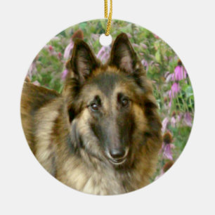 Belgian Tervuren Freidnship Ornament