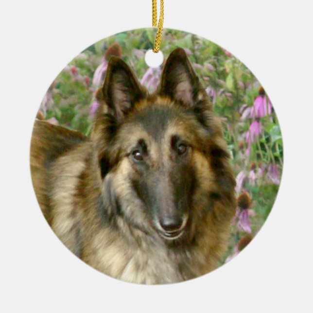 Belgian Tervuren Freidnship Ornament (Front)