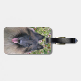Belgian Tervuren Luggage Tag