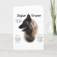 Belgian Tervuren Meet the Breed