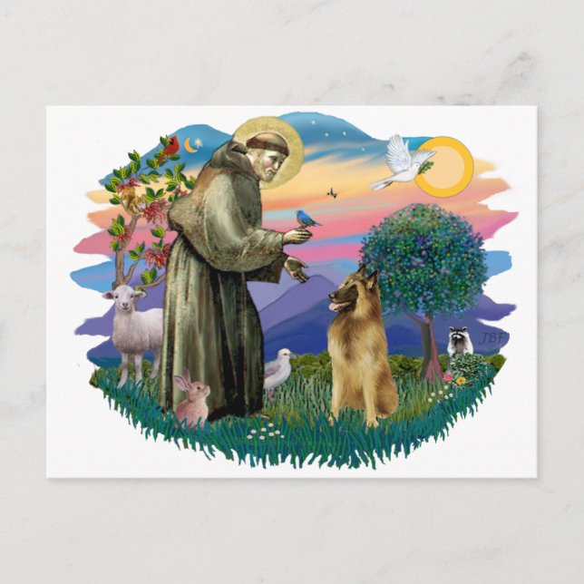 Belgian Tervuren Postcard (Front)