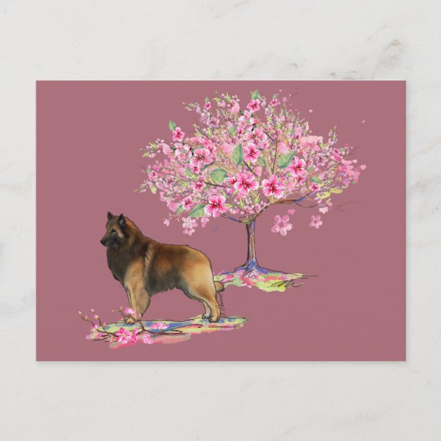 Belgian Tervuren Postcard (Front)