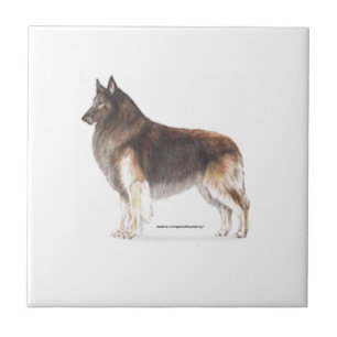 Belgian Tervuren Tile