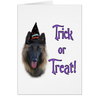 Belgian Tervuren Trick