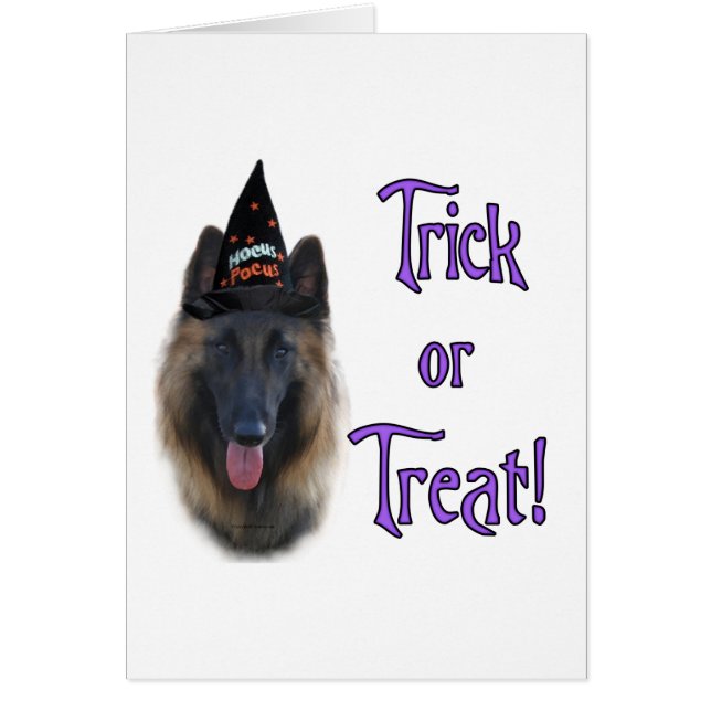 Belgian Tervuren Trick (Front)