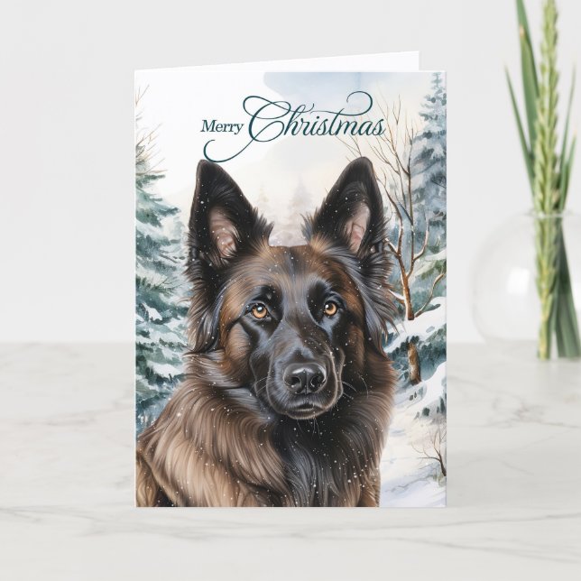 Belgian Tervuren Woodland Forest Merry Christmas Holiday Card (Front)