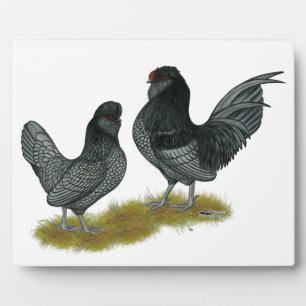 Belgian Watermaal Bantams Plaque